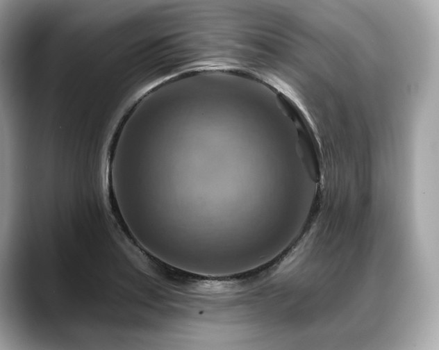 X0000088751179200705311506