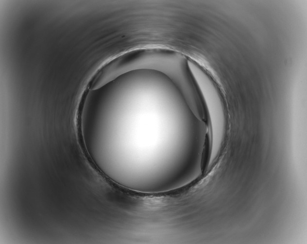 X0000088751181200705311506