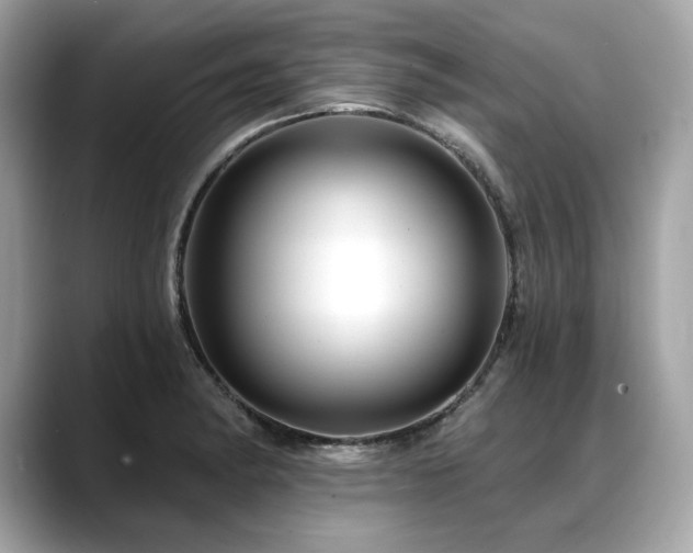 X0000088751182200705311506