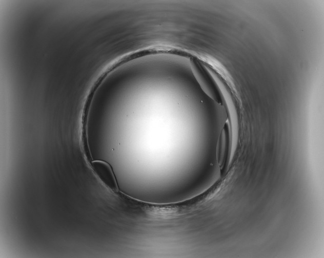 X0000088751183200705311506