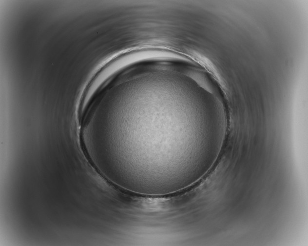 X0000088751184200705311506