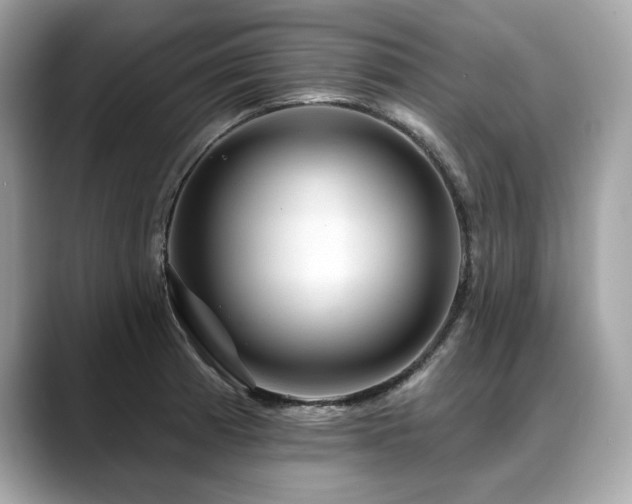 X0000088751185200705311506
