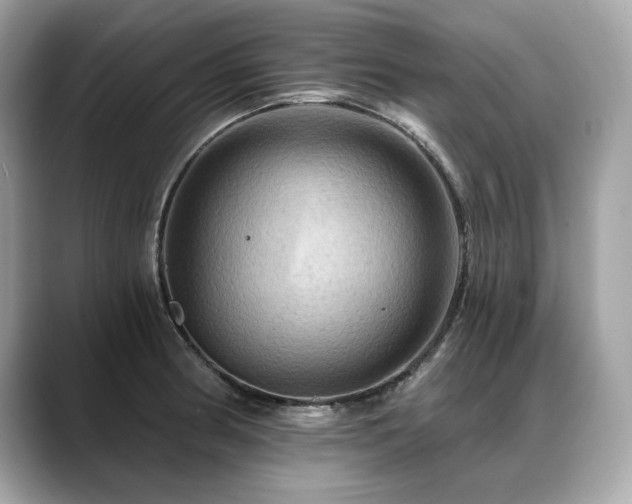X0000088751186200705311506
