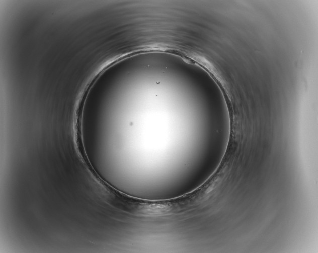 X0000088751187200705311506