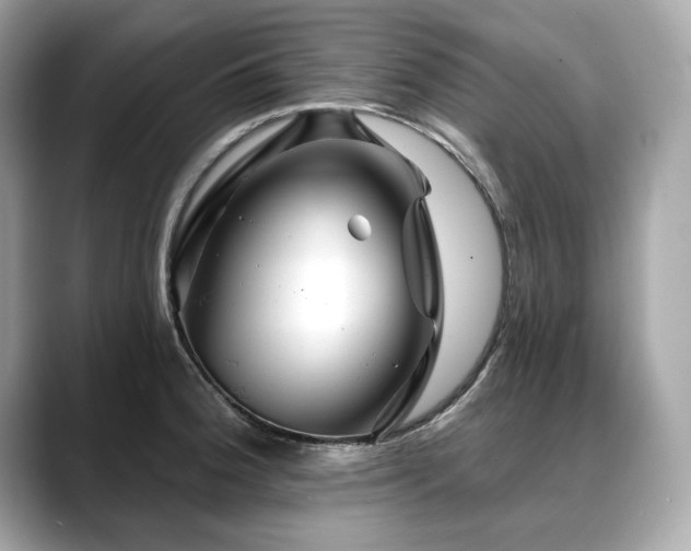 X0000088751188200705311506