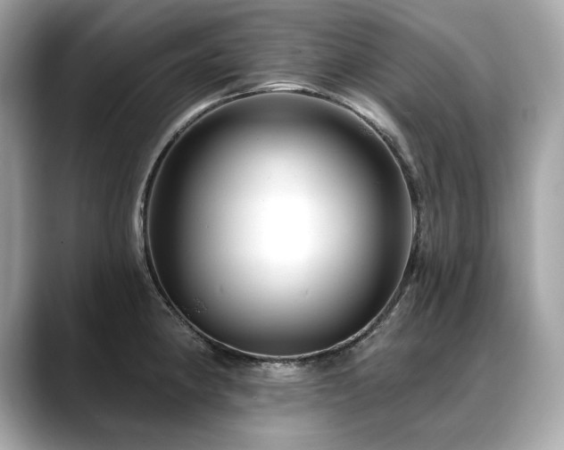 X0000088751190200705311506