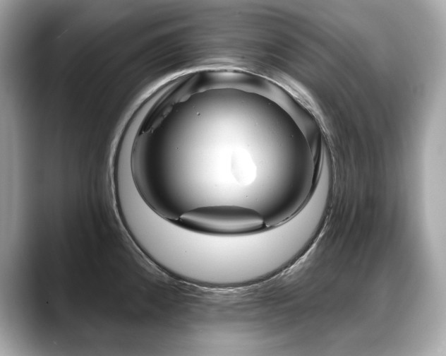 X0000088751192200705311506