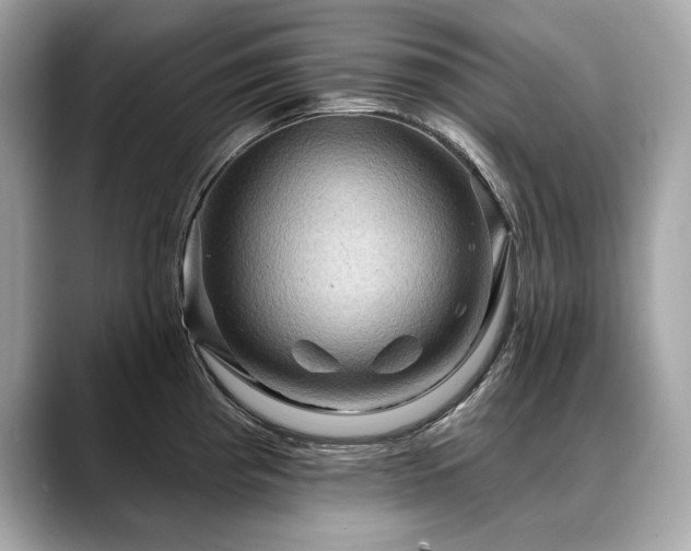 X0000088751193200705311506