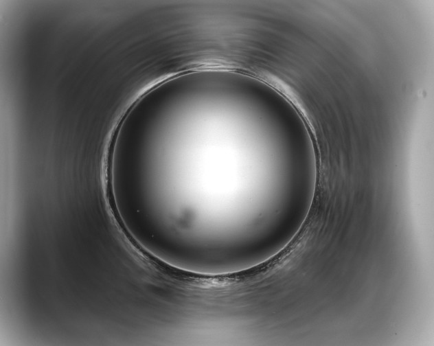 X0000088751195200705311506