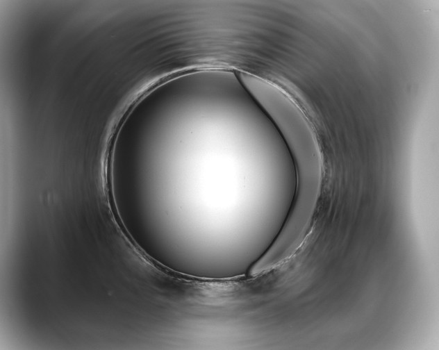X0000088751196200705311506
