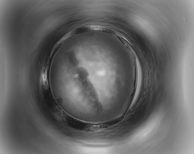 X0000088751198200705311506