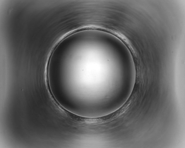 X0000088751199200705311506