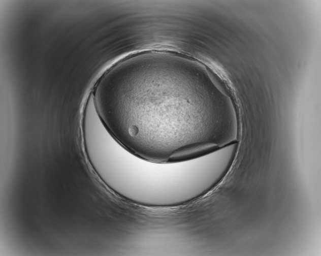 X0000088751200200705311506