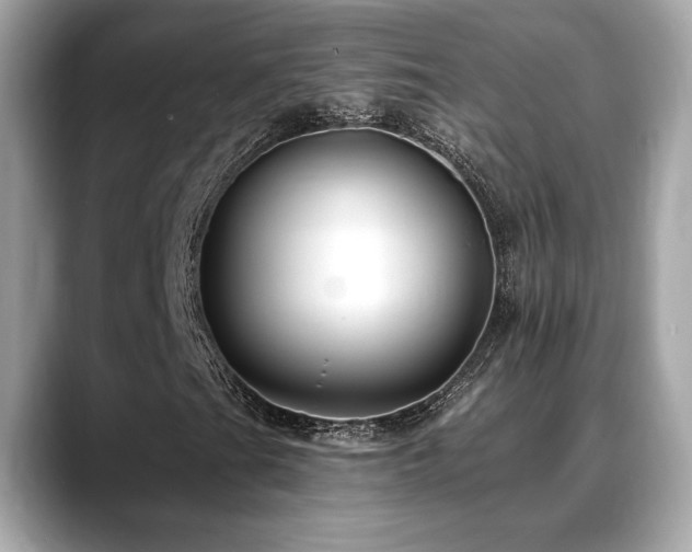X0000088751201200705311505