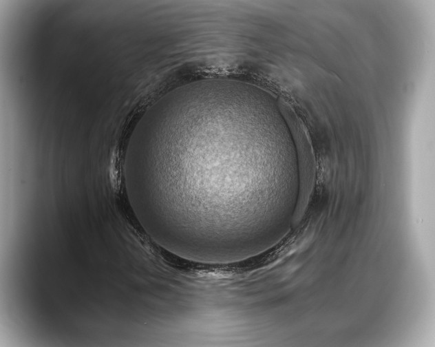 X0000088751202200705311505