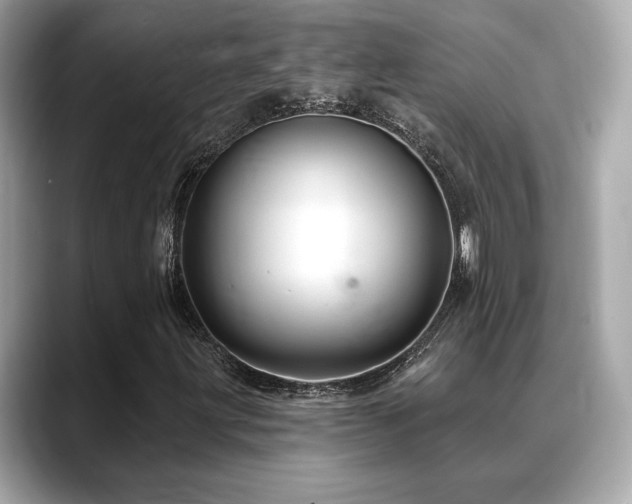 X0000088751203200705311505