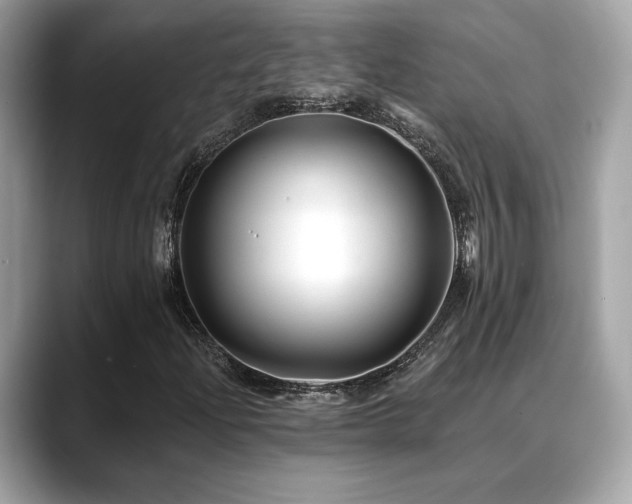X0000088751204200705311505