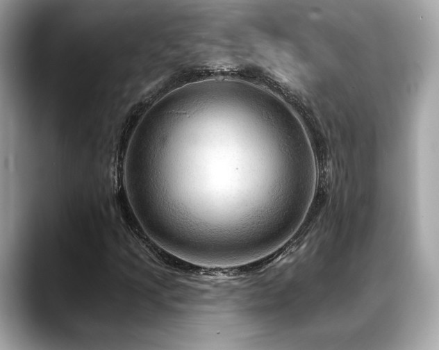 X0000088751205200705311505