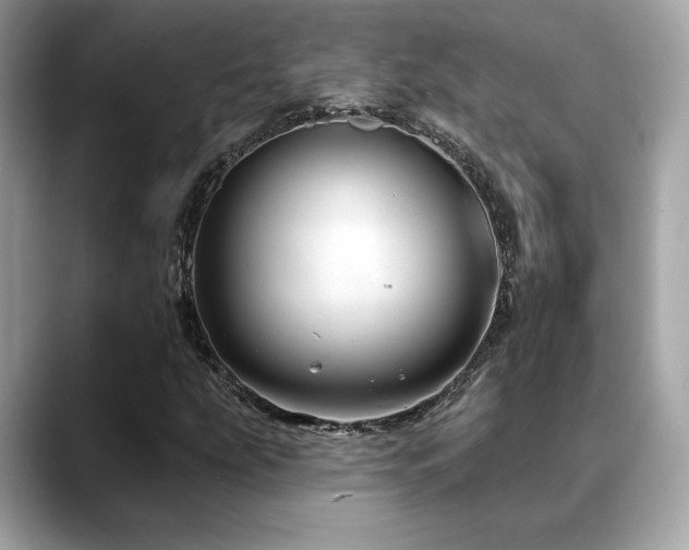 X0000088751207200705311506
