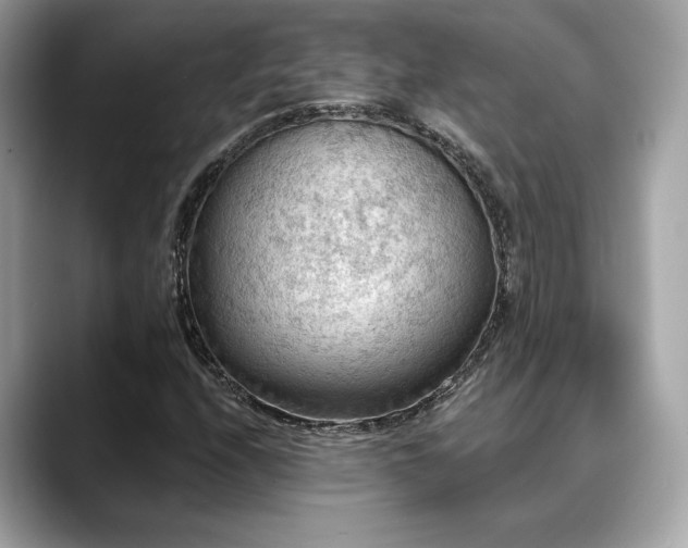 X0000088751208200705311506