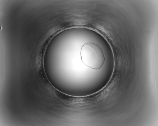 X0000088751211200705311506