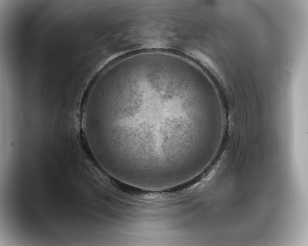 X0000088751212200705311506