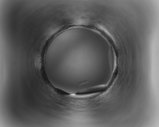 X0000088751213200705311506