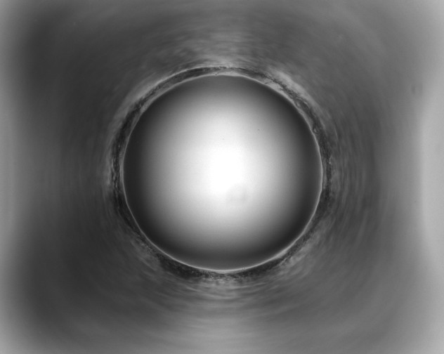 X0000088751215200705311506