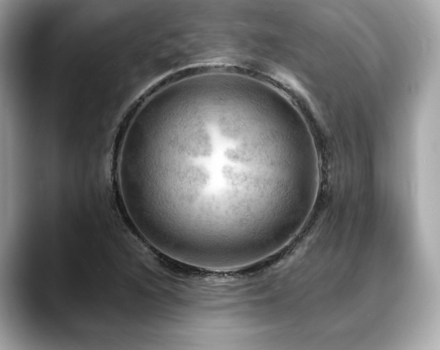 X0000088751216200705311506