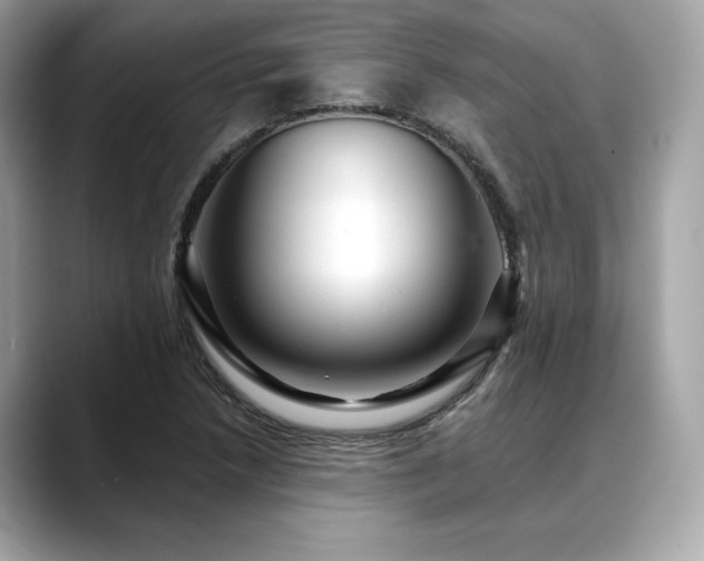 X0000088751218200705311506