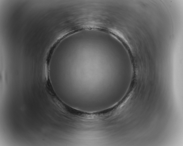 X0000088751219200705311506