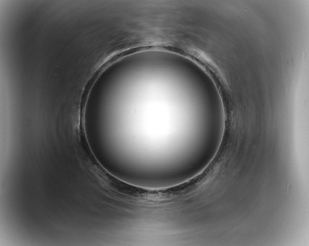 X0000088751220200705311506