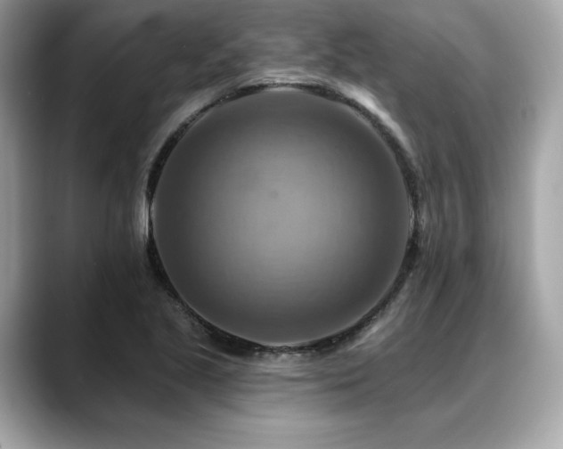 X0000088751221200705311506