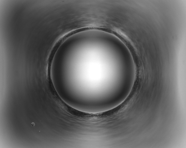 X0000088751222200705311506
