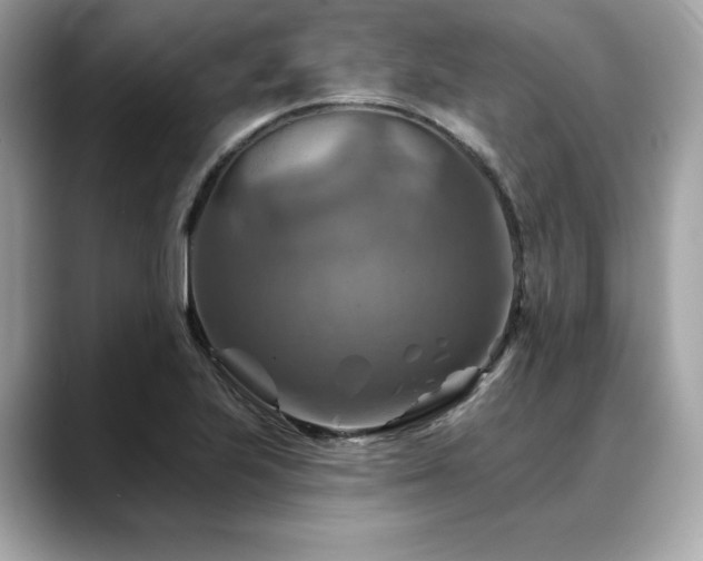 X0000088751223200705311506