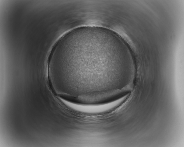 X0000088751224200705311506
