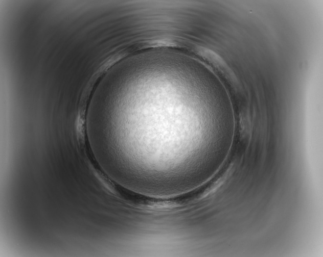 X0000088751225200705311506