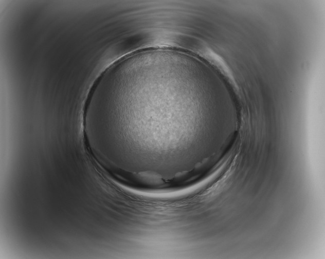 X0000088751226200705311506