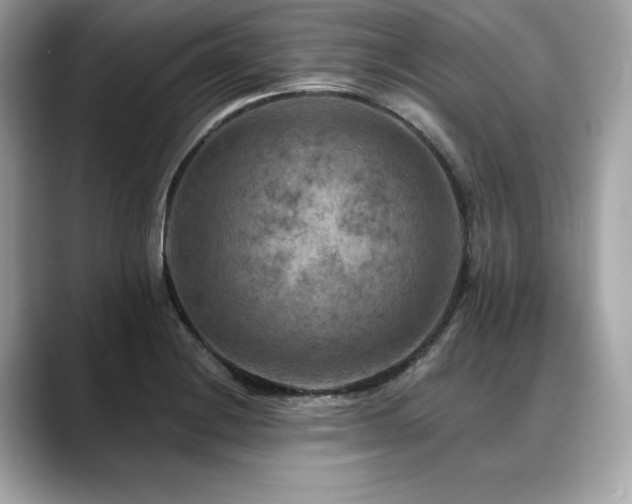 X0000088751228200705311506