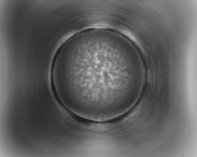X0000088751229200705311506