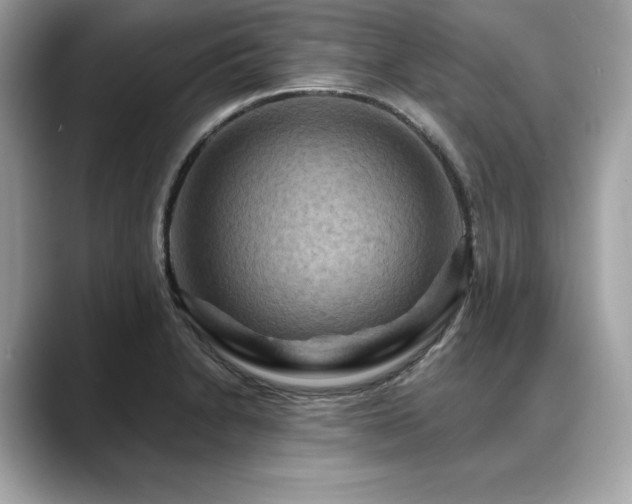 X0000088751230200705311506