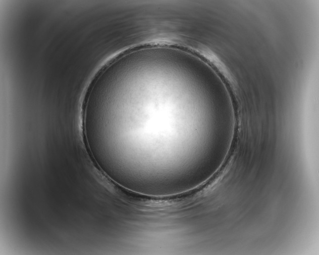 X0000088751232200705311506
