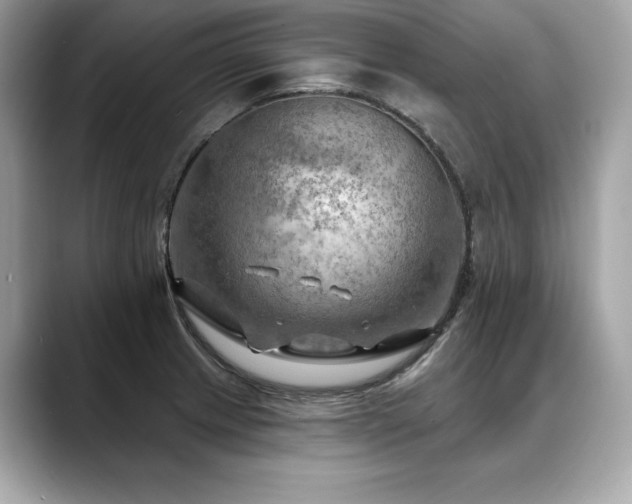 X0000088751233200705311506