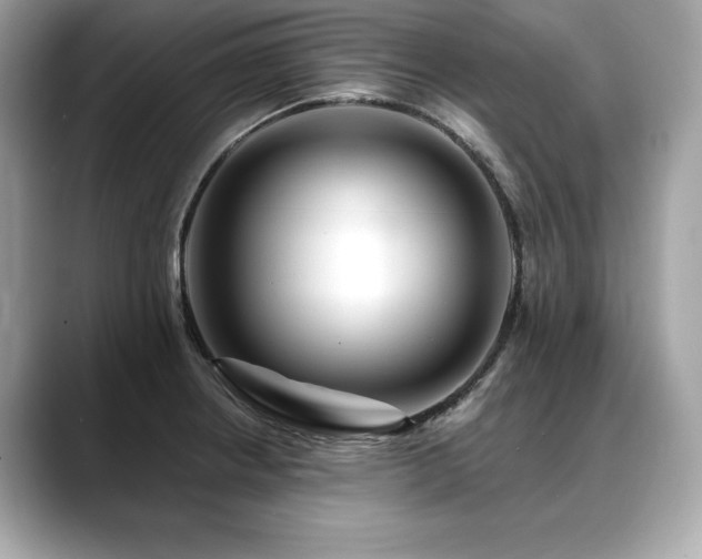 X0000088751234200705311506