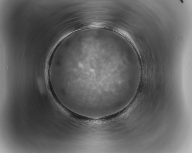 X0000088751235200705311506