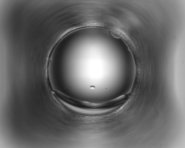 X0000088751236200705311506