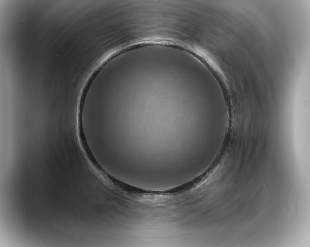 X0000088751237200705311506