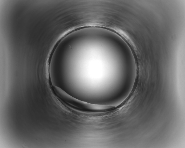 X0000088751238200705311506