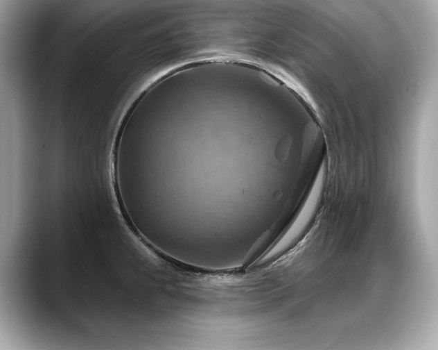 X0000088751239200705311506