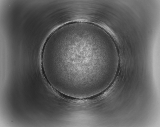 X0000088751240200705311506